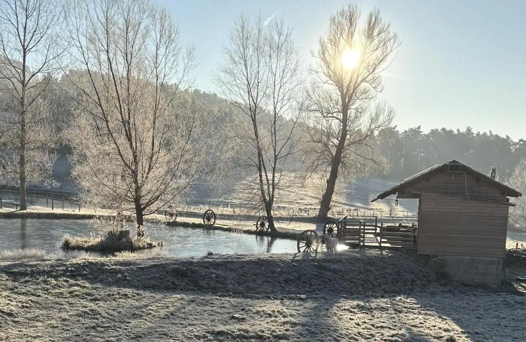 Country house Cabane Au Bord D'Un Etang Saint-Pierre-Eynac